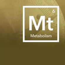 How Lactate & Metabolism Influence Performance