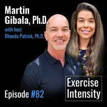 #082 The Science of Vigorous Exercise — Should We Train Hard or Train Long? | Martin Gibala, Ph.D.