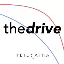 #46 - Chris Masterjohn, Ph.D.: Navigating the many pathways to health and disease - NAD and sirtuins, methylation, MTHFR and COMT, choline deficiency and NAFLD, TMAO, creatine, and more