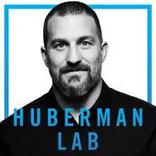 Huberman Lab Podcast Image