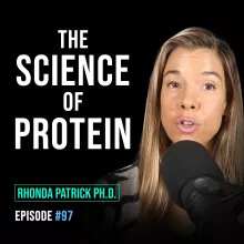 #097 The Science of Protein and Its Role in Longevity, Cancer, Aging, and Building Muscle